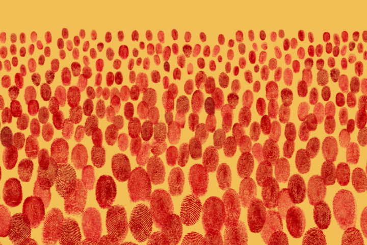 Dakar célèbre la Catalogne dans une soirée aux couleurs de la culture